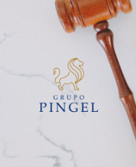 Grupo Pingel